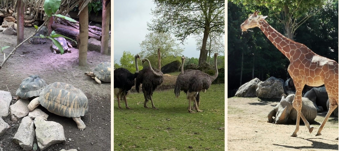 Le Tropical - Gallery Image 1