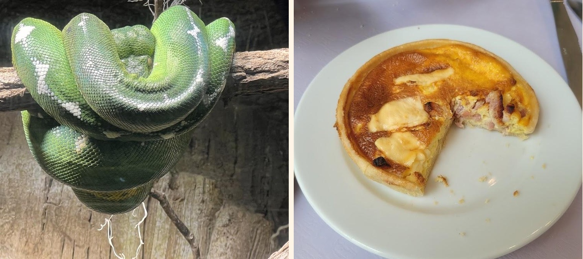 Le Tropical - Gallery Image 5